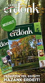 Mi erdőnk