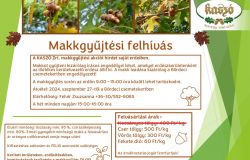 Makkgyűjtési felhívás 2024 -VÁLTOZÁS!!!