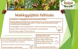 Makkgyűjtési felhívás 2024